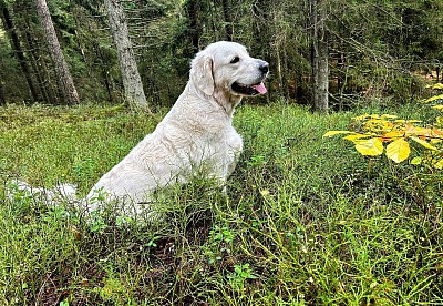 Queen Vilmas Viola ( Celine) njuter av härlig sommar som vi längtar till nu..