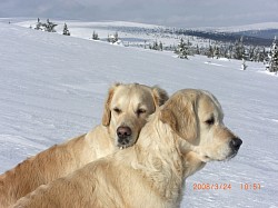 TINDRA OCH SESSAN 2008