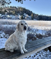 Celine i vinterskrud 🥰