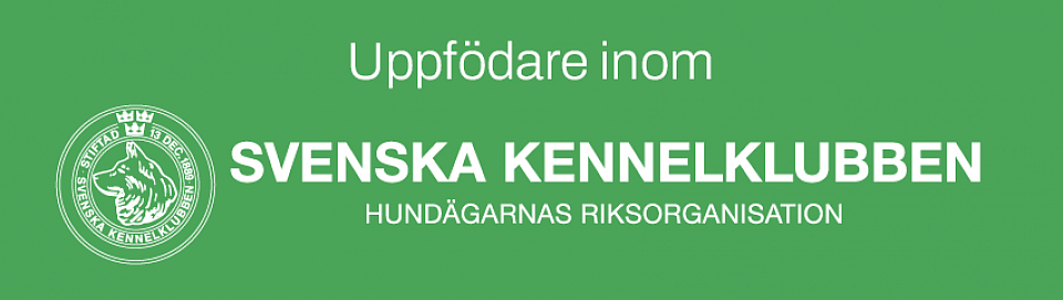 skk.se