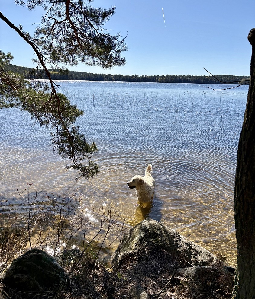 Första Maj 2026. Strålande sol o värme 🌸