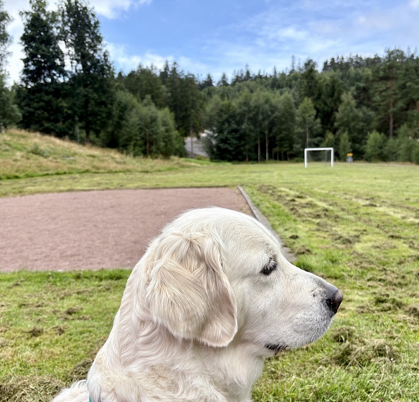 ♥️