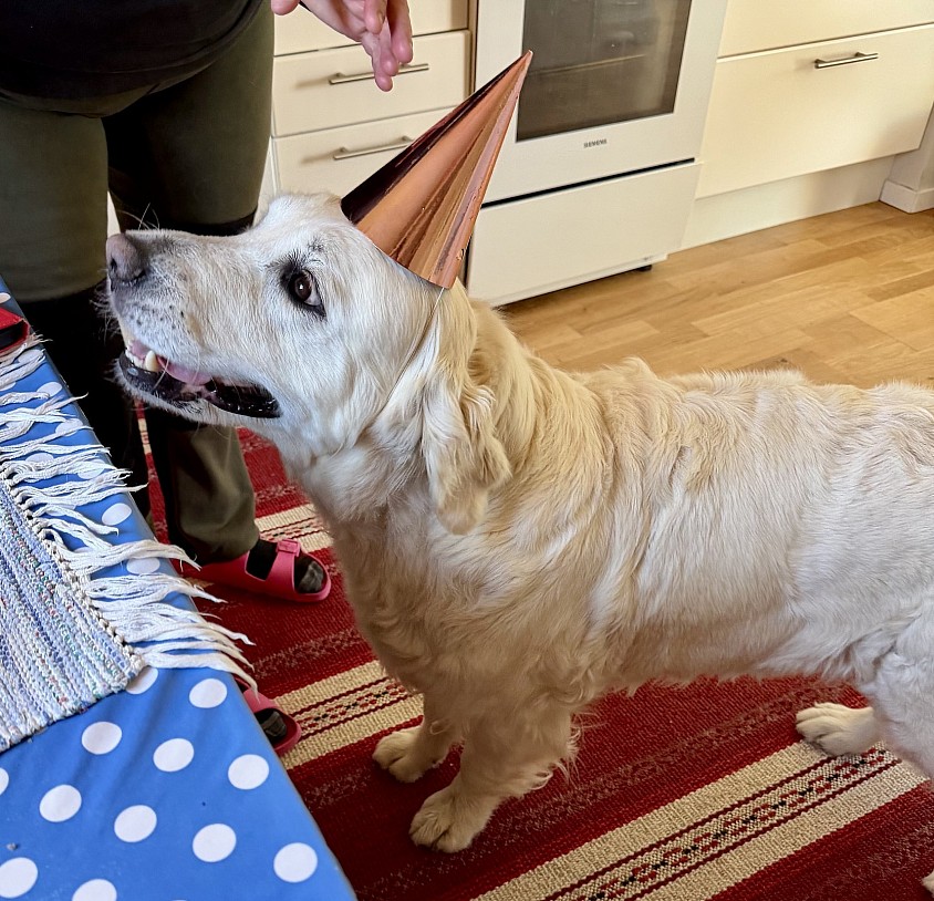 Celine har fyllt 5 år 🎉♥️ Vi firade med kalas 🎂